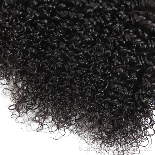 7A Great Brazilian Kinky Curly Hair Wave No Tangle No Shed For Black Color